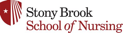 stony brook university accelerated nursing program